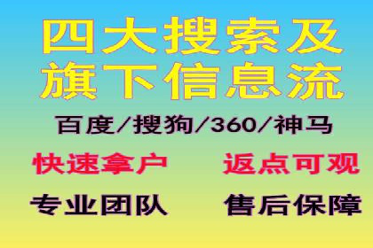 成功SEM推广代运营案例分享